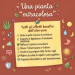 Benefici del peperoncino: proprietà, segreti e usi in cucina e non solo