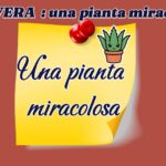 Dove si trova il ferro?