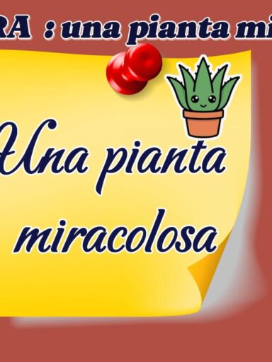 Locandina che parla dell'aloe vera