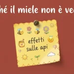 Consigli ecologici : detersivo per lavatrice e sgrassatore multiuso