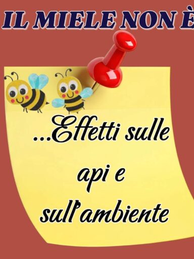 Locandina che parla del miele e delle api con sfondo bordeaux