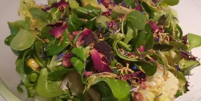 Insalata di fiori eduli di rosa fiordaliso e calendula