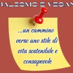 La spesa di agosto : frutta e verdura di stagione