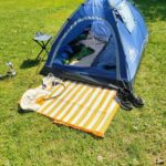 Berlino: Una Metropoli di Storia, Cultura, Innovazione, Diversità e Veganismo