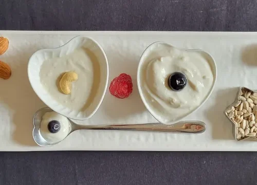Lo yogurt vegetale in casa