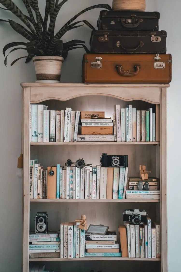 Libri Consigliati: Una Guida per Amanti della Lettura