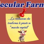 Il test del frigo: il tuo frigo è un arcobaleno o un “film in bianco e nero”?