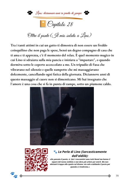 Lino - Diciannove anni in punta di zampe (Libro Cartaceo) - immagine 4