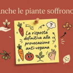 Cosa mettere nel bagaglio a mano quando viaggi da vegano: i 5 snack salvavita