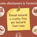 Sistemi di irrigazione alternativi: soluzioni per una terra sostenibile