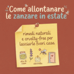 Rafforzare lo scudo naturale: guida olistica per difese immunitarie al top