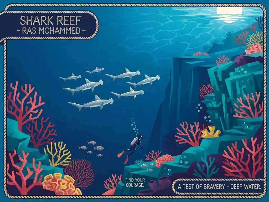Shark Reef squali martello PaulVeg