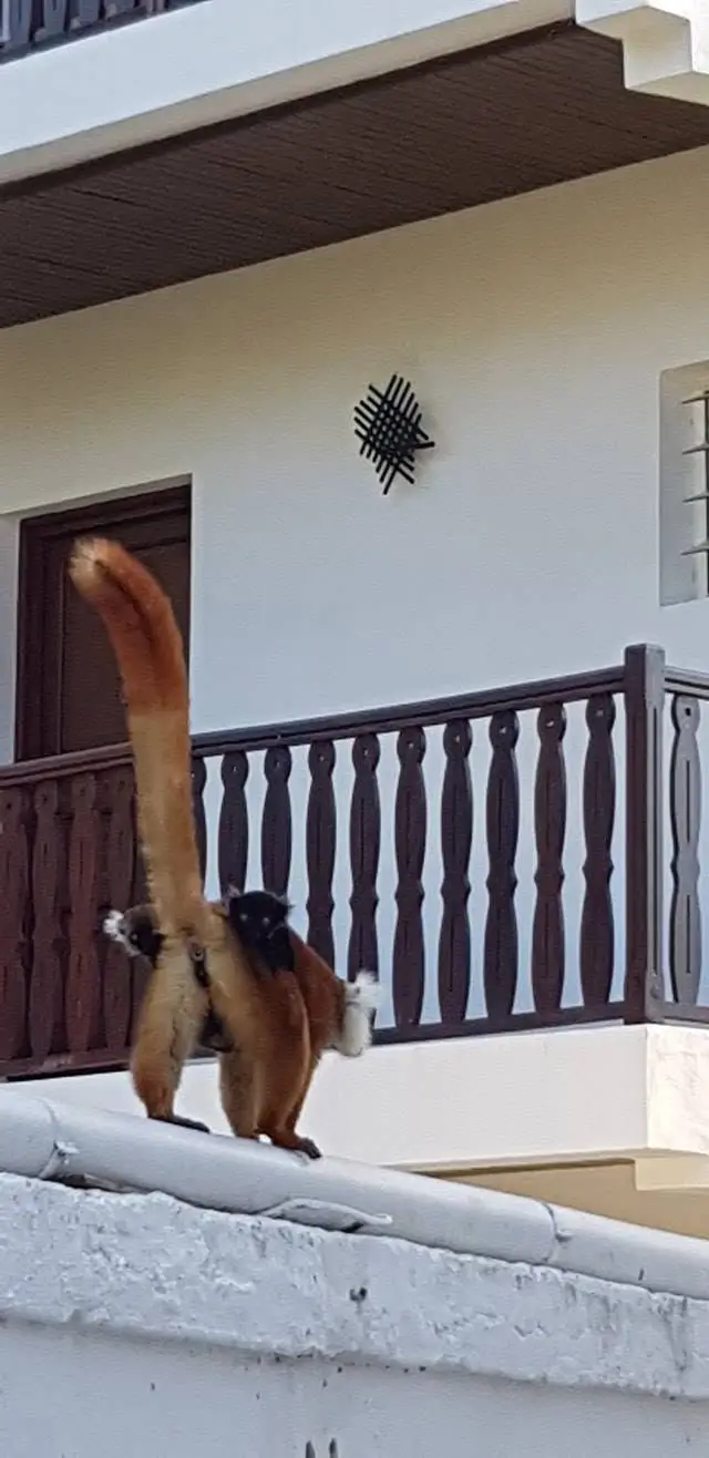 Scatto Nosy Be 1